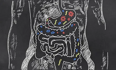 Interesting New Type of Probiotic Actually Works Overnight While You Sleep...
