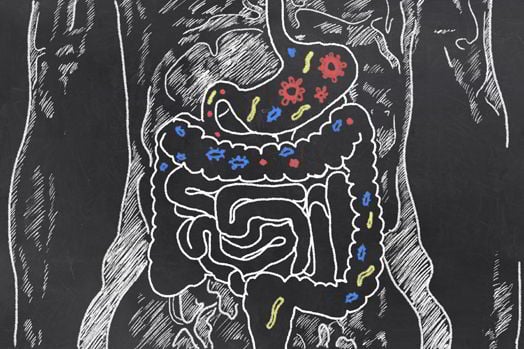 8 Fun Facts About Your Digestive System
