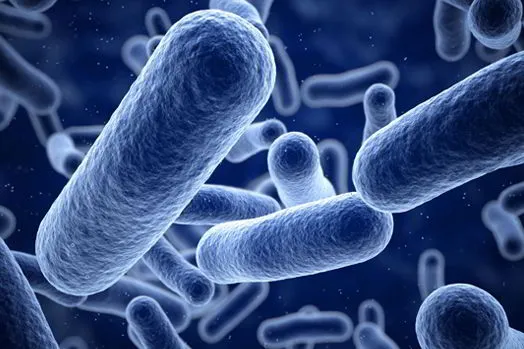 Everything You Need To Know About Choosing The Best Probiotic
